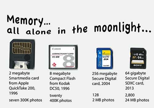Cartoon: of Cats and memory cards