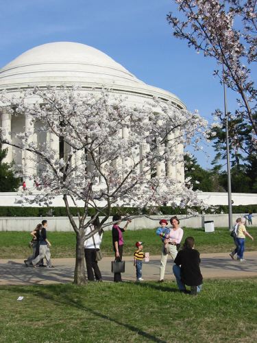 jefferson8