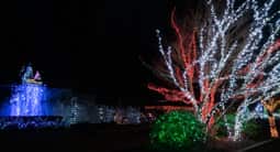 Waterfall and forest, downtown Sequim. Christmas lights, Sequim, December 25, 2018