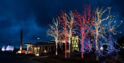 Jamestown Klallam Health Clinic, Christmas lights, Sequim, December 25, 2018