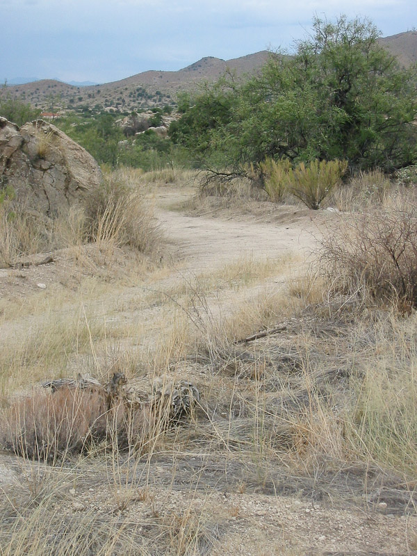 Texas Canyon, AZ, is a pass between the Little Dragoon Mountains on the north and the Dragoon Mountains to the south. This was once the old stage road.