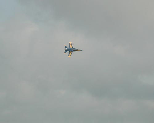 DSCN2473