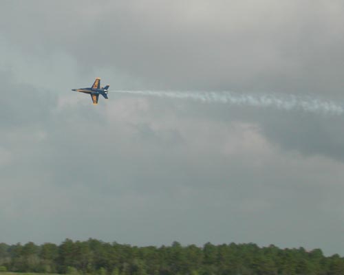 DSCN2478