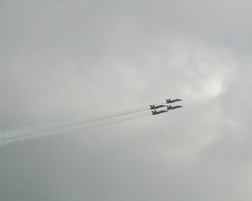DSCN2485