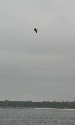 DSCN2625