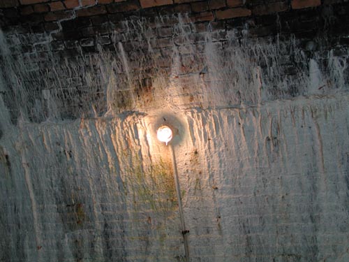 DSCN2656