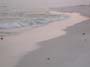 DSCN2701