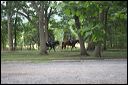 gettysburg2859