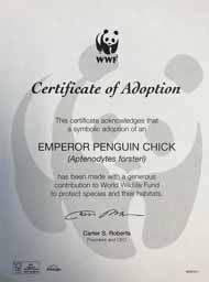 My colleagues at work adopted an emperor penguin in my honor. Yes, I like penguins.