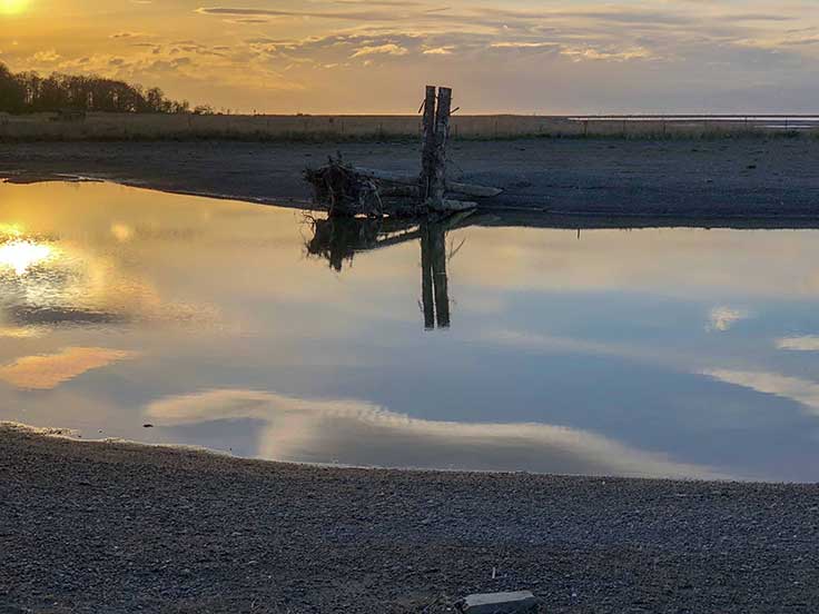 Dungeness Nearshore Restoration Project