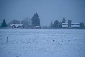 Taylor Farm at dawn in the snow