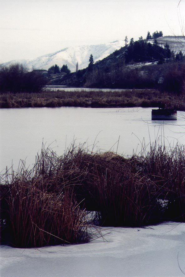 chelanfrozenlake.jpg