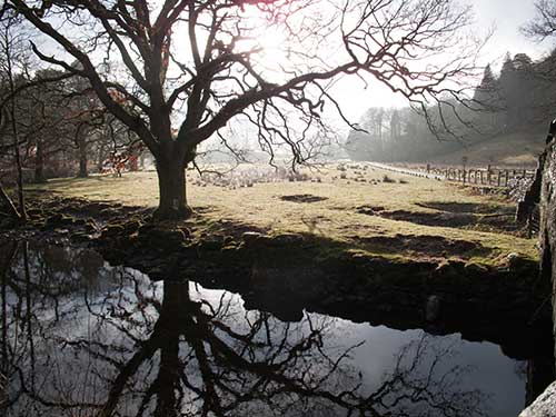 Road in the Lakes District of England