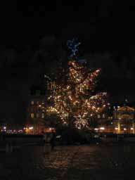 Christmas tree in front of Notre Dame de Paris. Christmas is celebrated for a month, so displays were still up in mid-January. © 2005 Lykara I. Charters