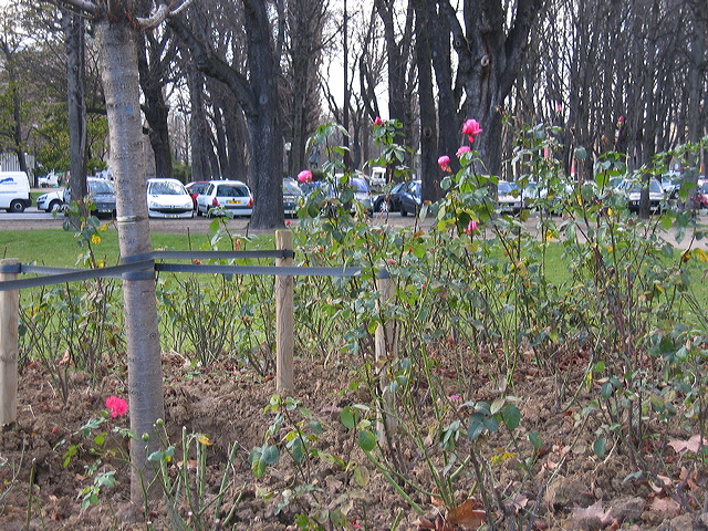 paris04-112.jpg
