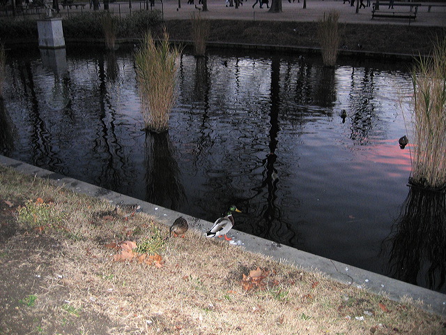 paris04-176.jpg