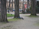 paris04-117