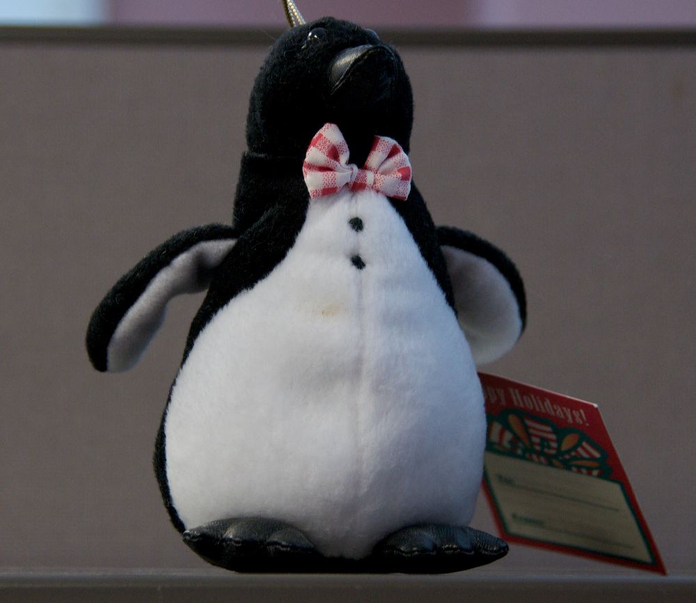 silverspringpenguins16.jpg