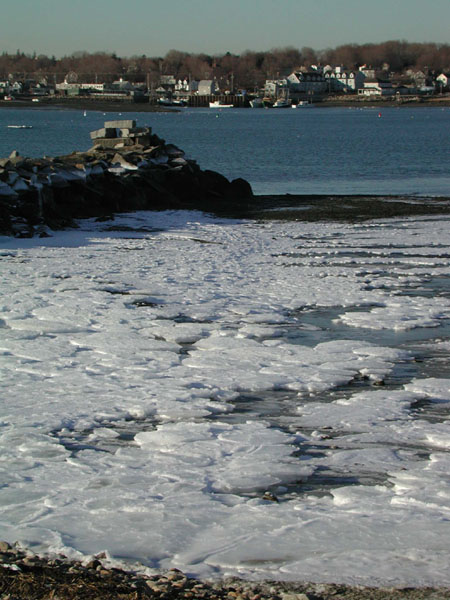 scituateharbor5