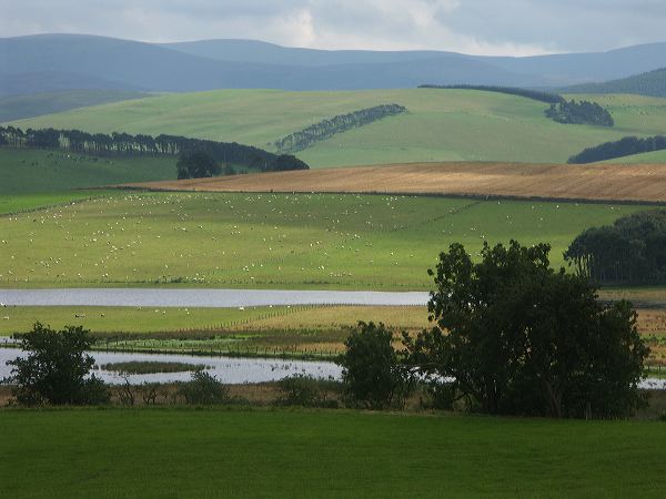 scotland965.jpg