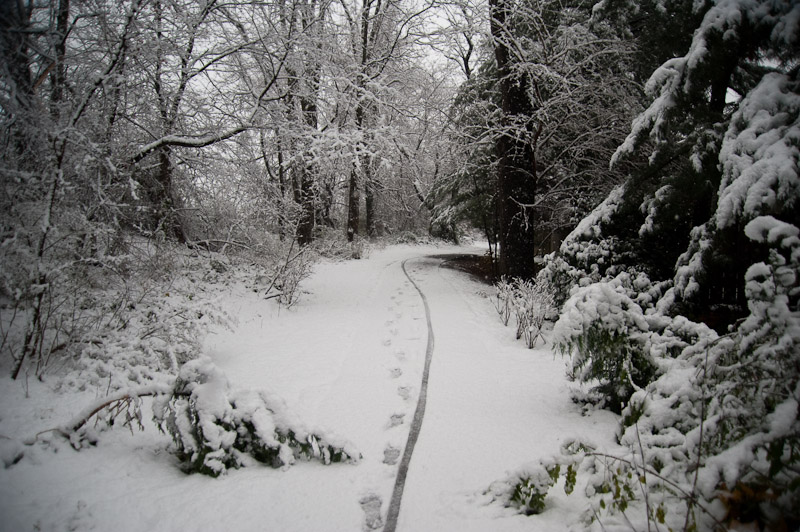 First snowfall, December 2009