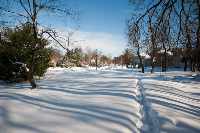 Looking north