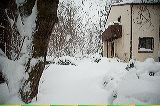 snow3775