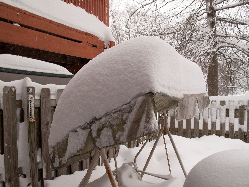 snow1900.jpg