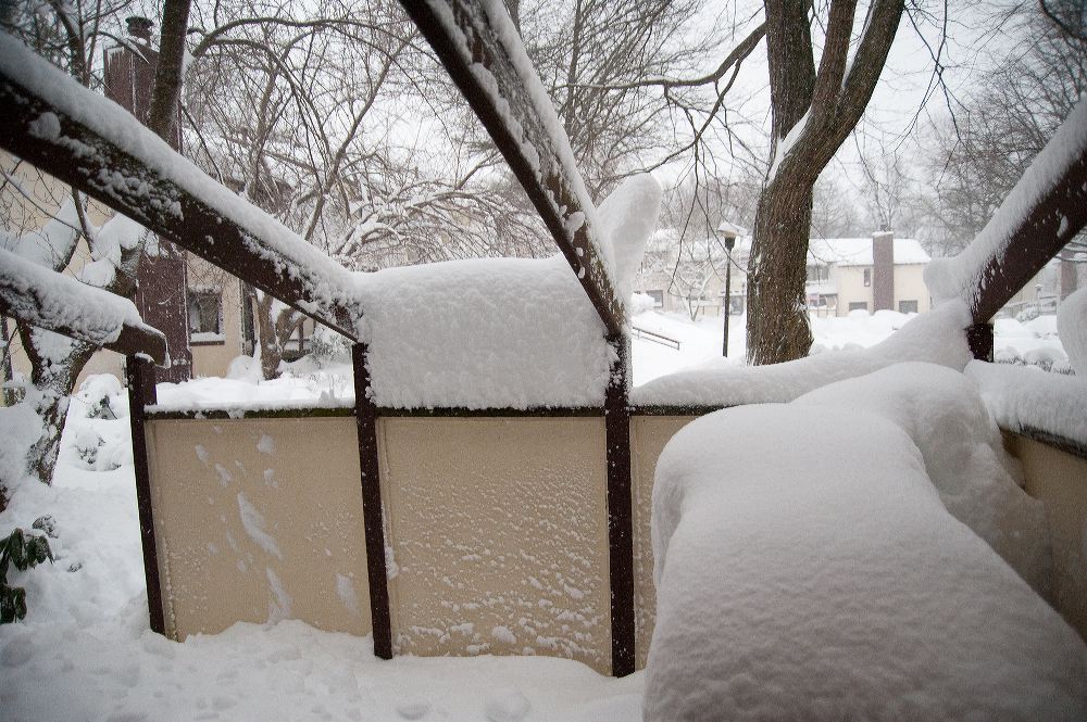 snow3762.jpg
