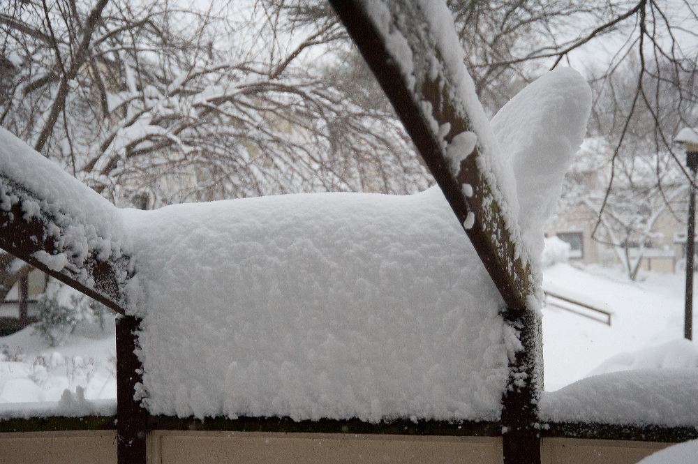 snow3763.jpg