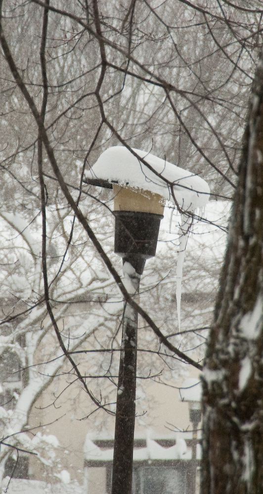 snow3764.jpg