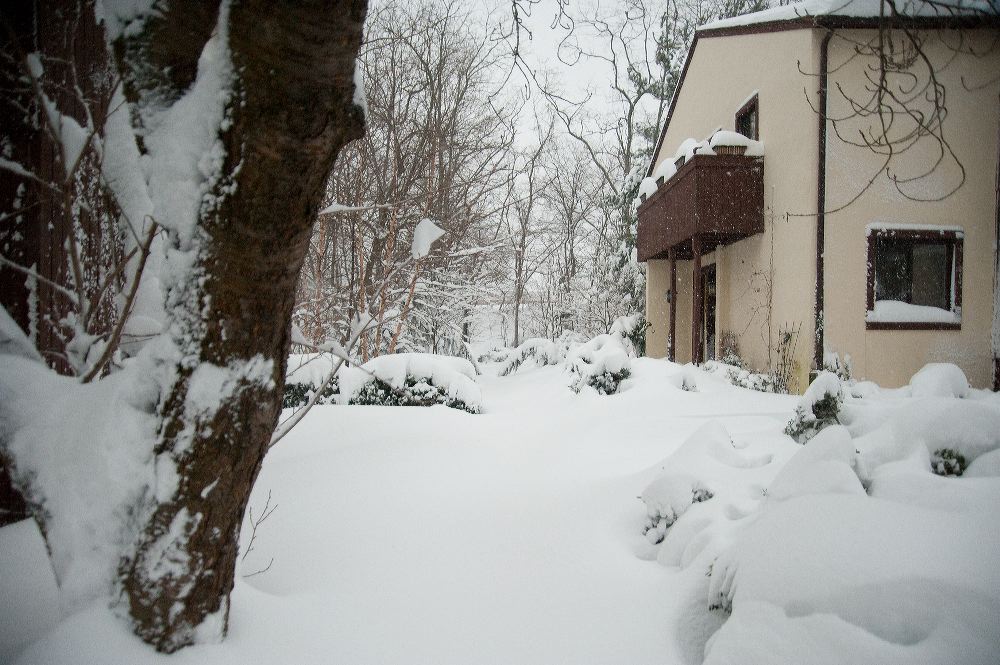 snow3775.jpg