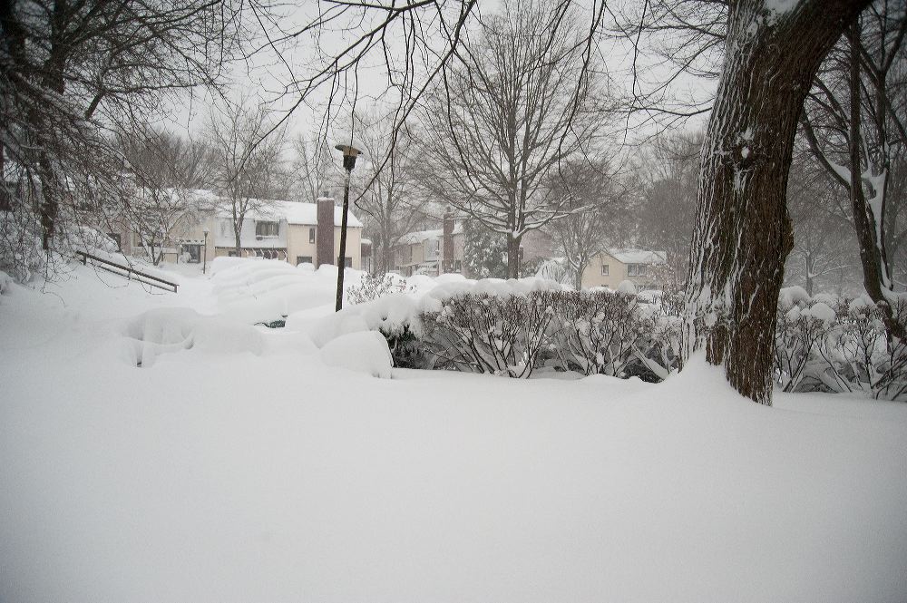 snow3778.jpg