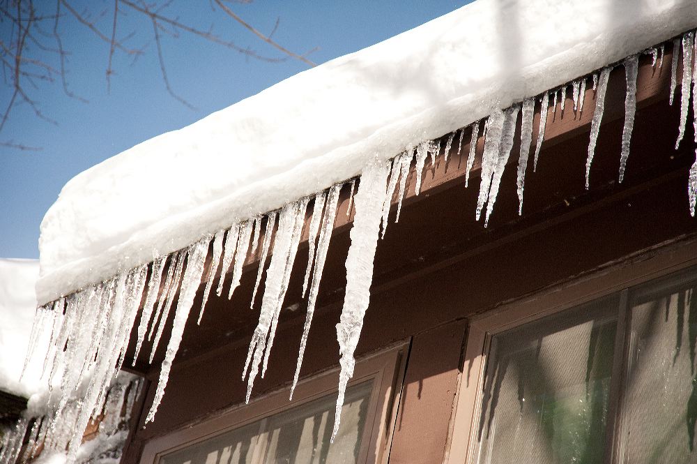 snow3822.jpg