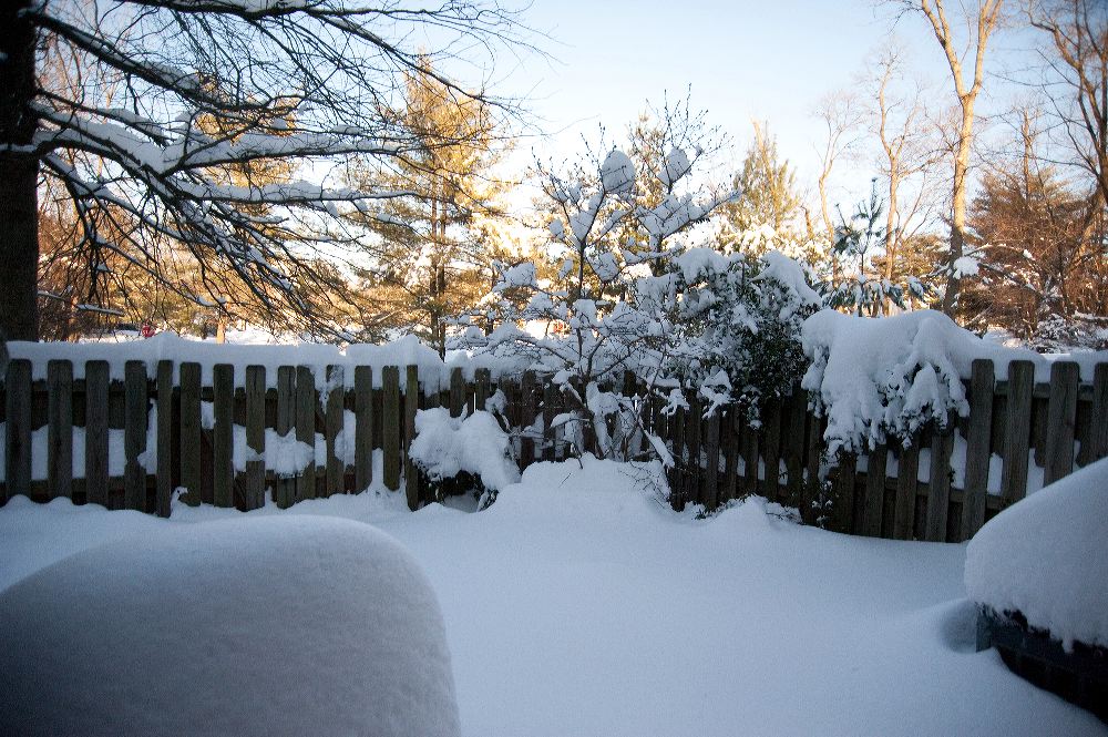 snow3851.jpg