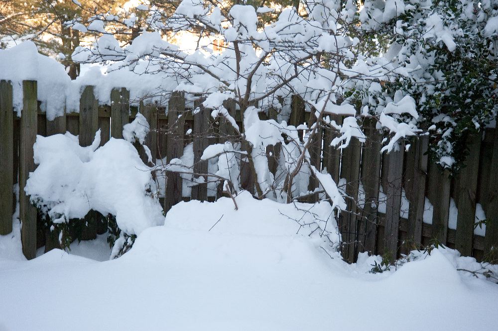 snow3855.jpg