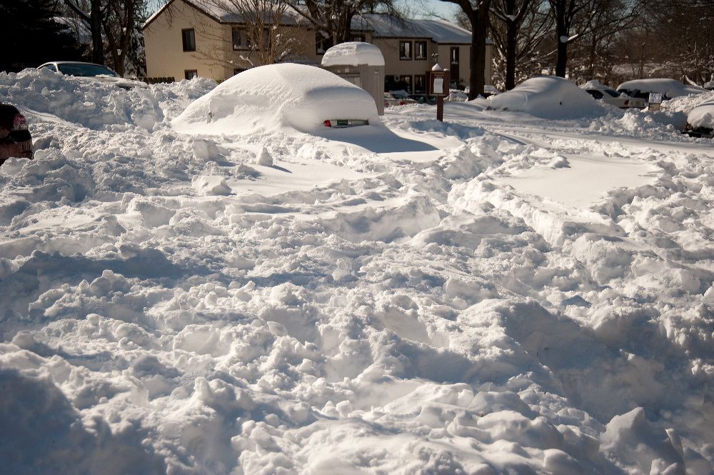 snow3864.jpg