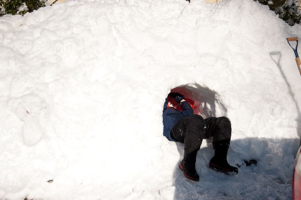 snow3865.jpg