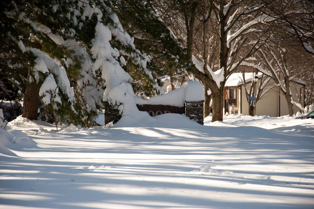 snow3900.jpg