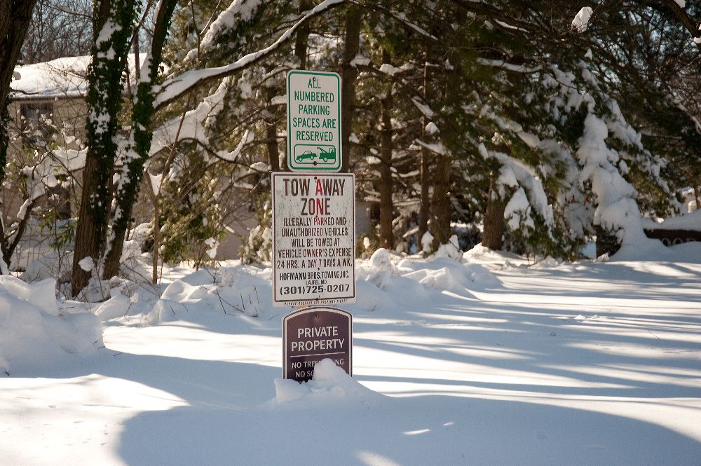 snow3901.jpg