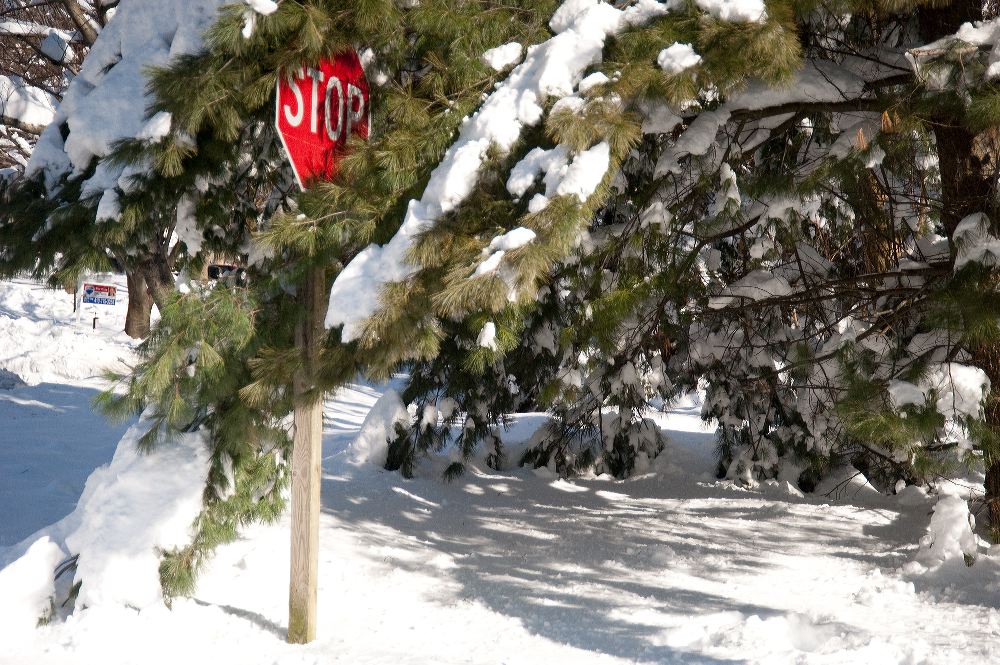 snow3904.jpg