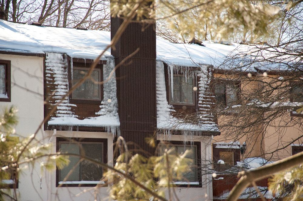 snow3907.jpg