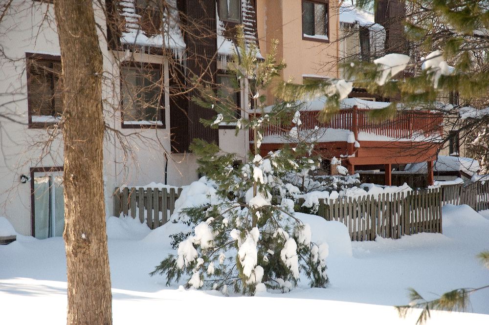 snow3911.jpg