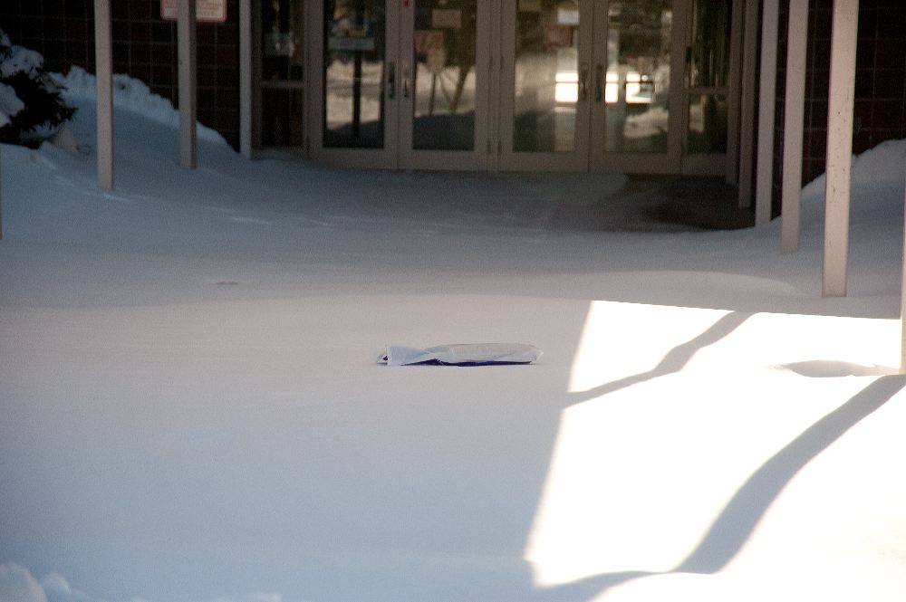 snow3913.jpg