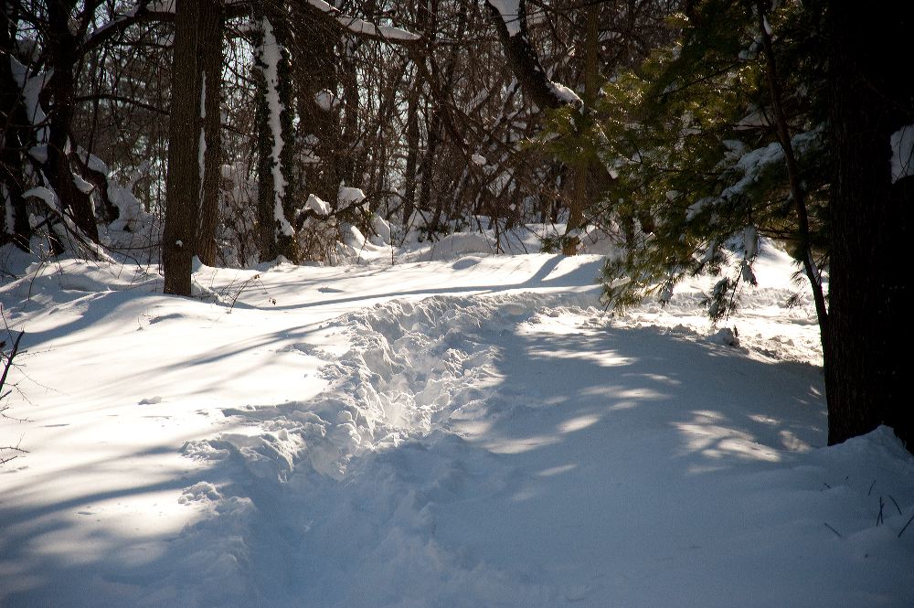 snow3924.jpg
