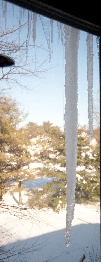snow3925.jpg