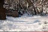 snow3877