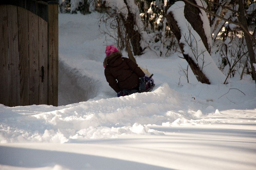 snow3884.jpg