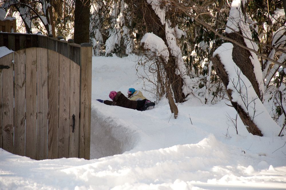 snow3894.jpg