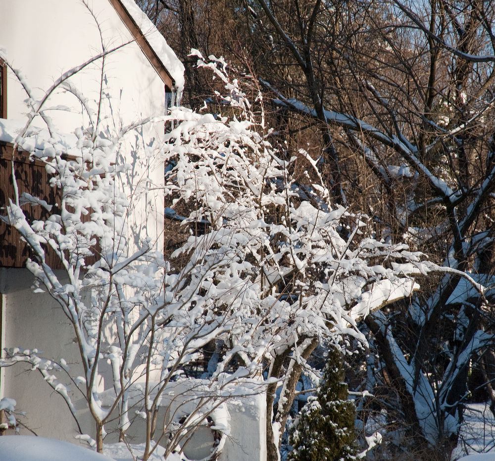 dsc_3942.jpg